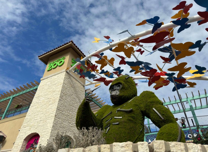 San Antonio Zoo, Texas, USA